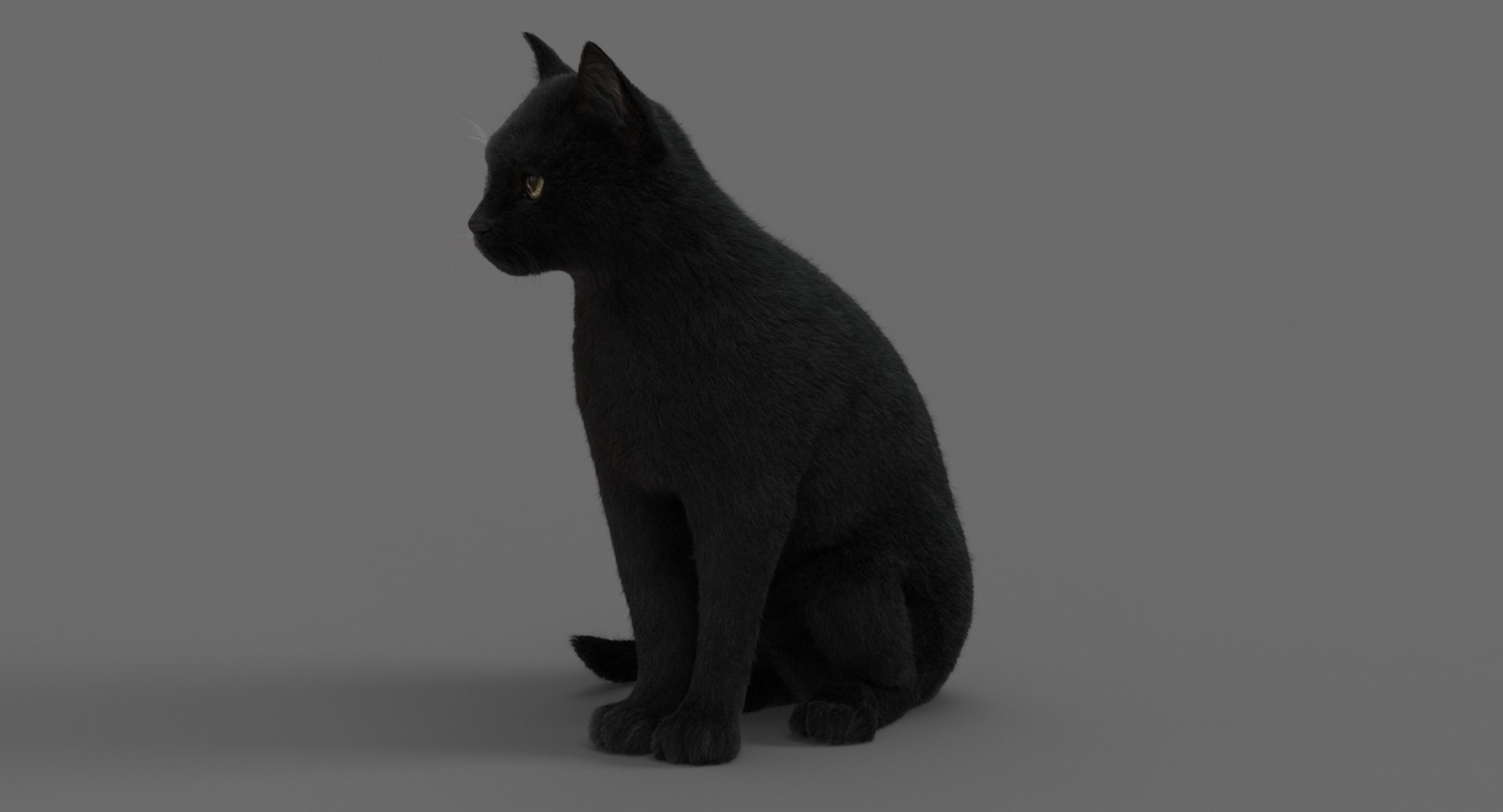 cat animation 3D model https://p.turbosquid.com/ts-thumb/hw/BRwNfl/dTqAH3At/sit9635/jpg/1537057510/1920x1080/fit_q87/dc459c85d98a242affb4b37c11a6f08502d5b983/sit9635.jpg