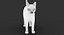 猫（2）（黑色）（动画）（FUR）