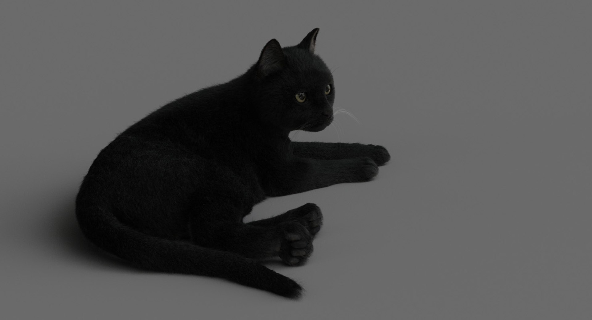 cat animation 3D model https://p.turbosquid.com/ts-thumb/hw/BRwNfl/m7zRqxjh/laid03/jpg/1537057766/1920x1080/fit_q87/2811541760fc209e1e22aa1a83135bc83bf6b256/laid03.jpg