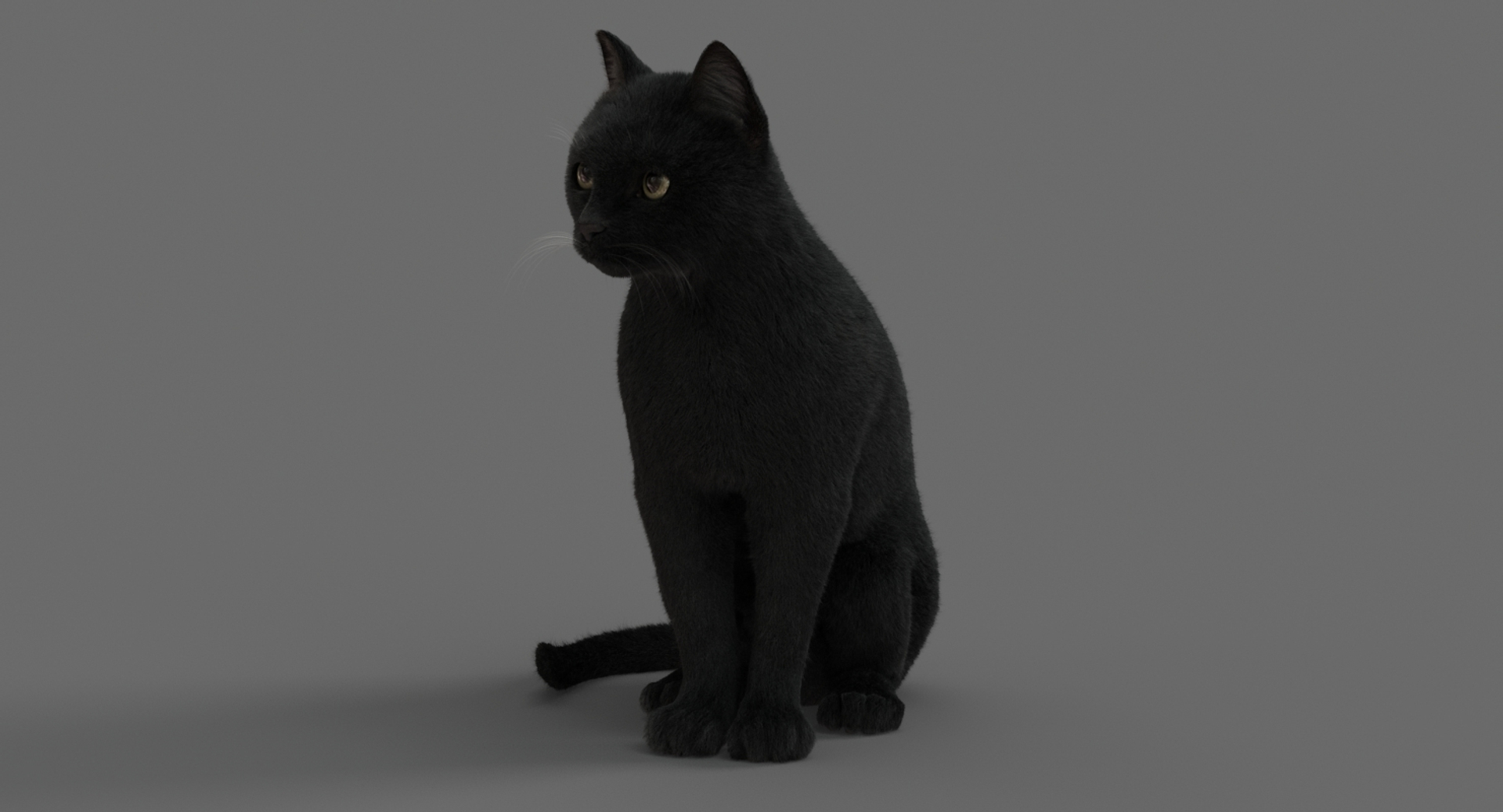 cat animation 3D model https://p.turbosquid.com/ts-thumb/hw/BRwNfl/nz2fULFj/sit/jpg/1537058070/1920x1080/turn_fit_q99/36b35a7be90790044f5700df201db6015003b7ba/sit-1.jpg