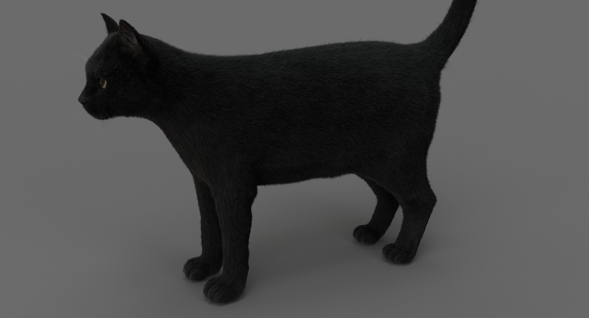 cat animation 3D model https://p.turbosquid.com/ts-thumb/hw/BRwNfl/qPTr1BRy/04/jpg/1537057509/1920x1080/fit_q87/372d376dda6349dc61fb9164f00cf0e8fab4c986/04.jpg