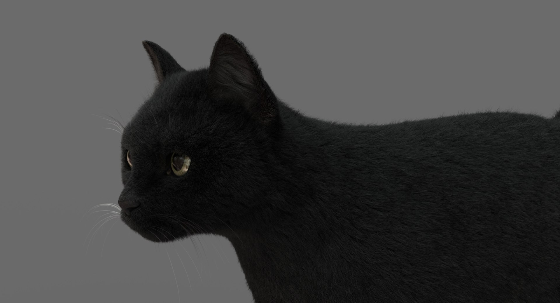 cat animation 3D model https://p.turbosquid.com/ts-thumb/hw/BRwNfl/u2n40cQC/03/jpg/1537057509/1920x1080/fit_q87/d096c944b2681a806d7998c595ca0e841af78167/03.jpg