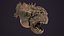 Monstruo de pescado - Gloth