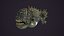 Monstruo de pescado - Gloth