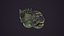Monstruo de pescado - Gloth