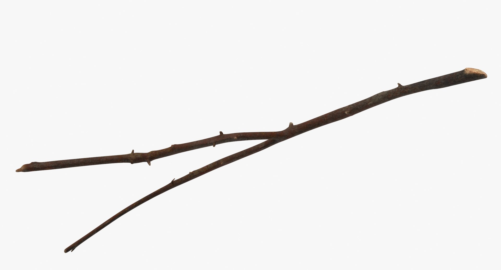Branch 03 3D model - TurboSquid 2027246