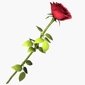 3dsmax red rose