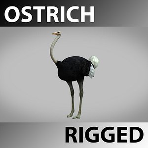 rigged ostriche 3d max