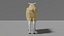 Sheep Family Pack