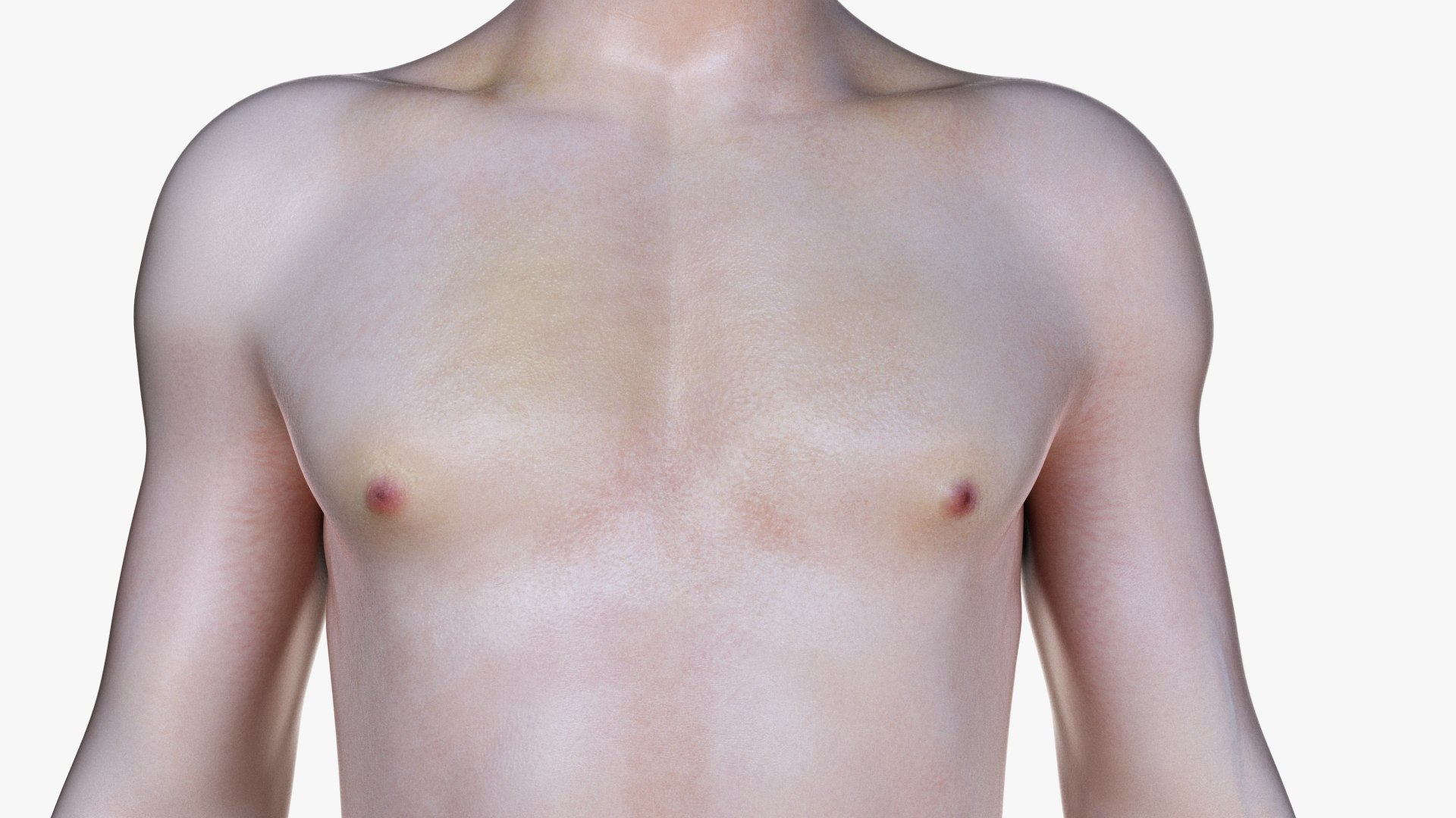 3D male female simplified anatomy https://p.turbosquid.com/ts-thumb/hw/XUAREM/3jA8m72c/ts_simp_male_body0004/jpg/1575991805/1920x1080/fit_q87/9c809918fd5a4be433f92f1c1401af24772d5b63/ts_simp_male_body0004.jpg