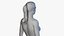 Conjunto completo de anatomia masculina e feminina simplificada