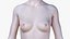 Conjunto completo de anatomia masculina e feminina simplificada