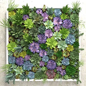 succulents wall model