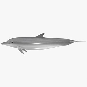 max realistic dolphin