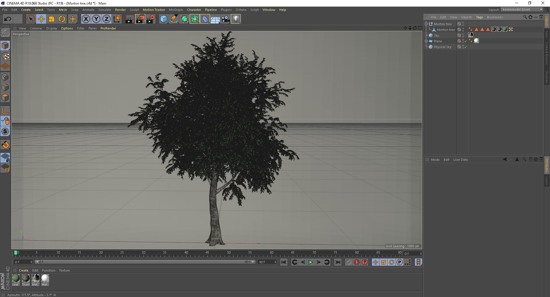Morton Tree 3D Model - TurboSquid 1397278