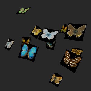 3D Butterflies Animated Rigged Collection model