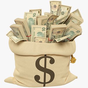 3D Money Bag V14 model
