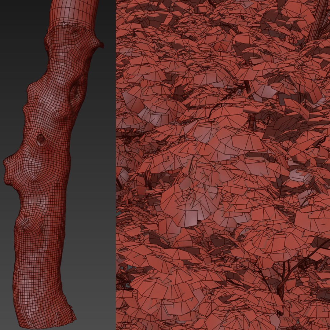 3D Ulmus minor model https://p.turbosquid.com/ts-thumb/hx/5rPtFK/M2/preview7umt/jpg/1662355893/1920x1080/fit_q87/6344a94c71f8a32111cacdfb33e07c3d34ab3892/preview7umt.jpg