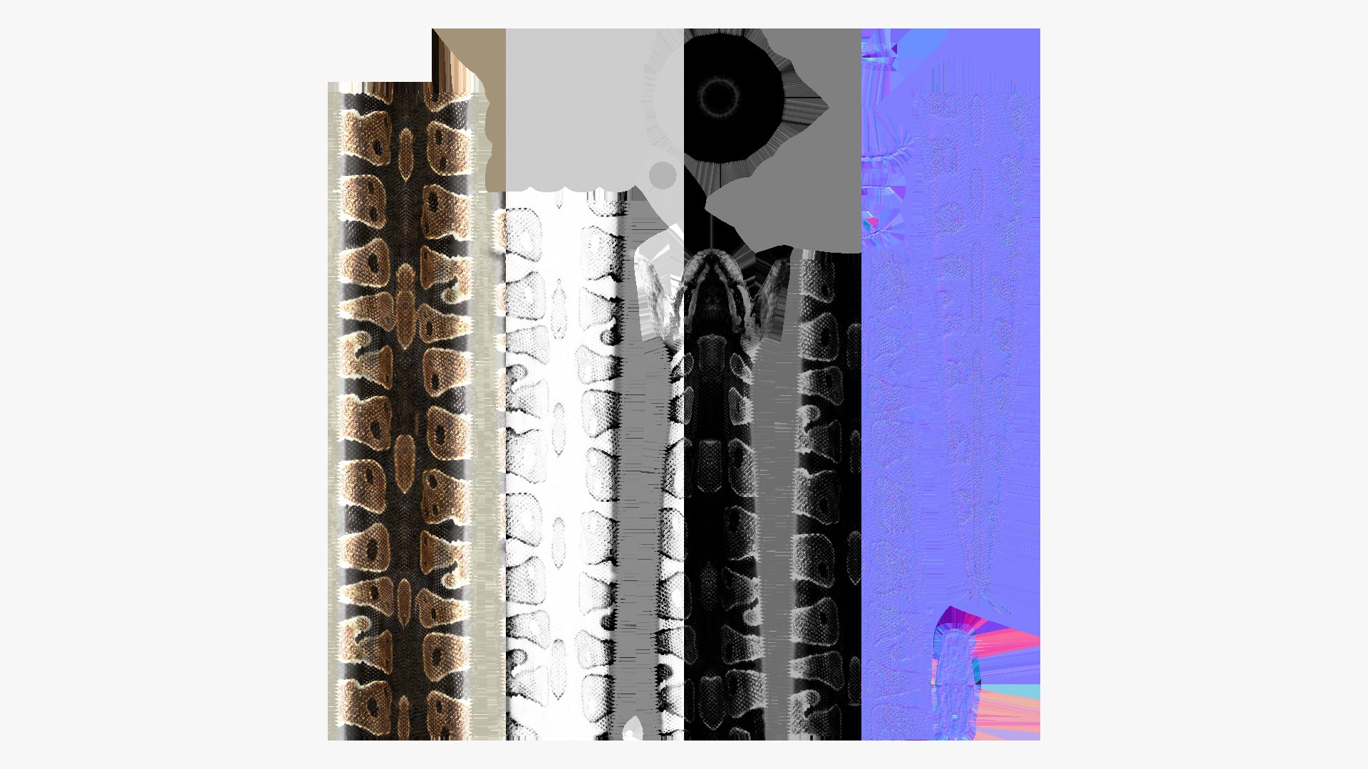 Common Python 3D - TurboSquid 2175780