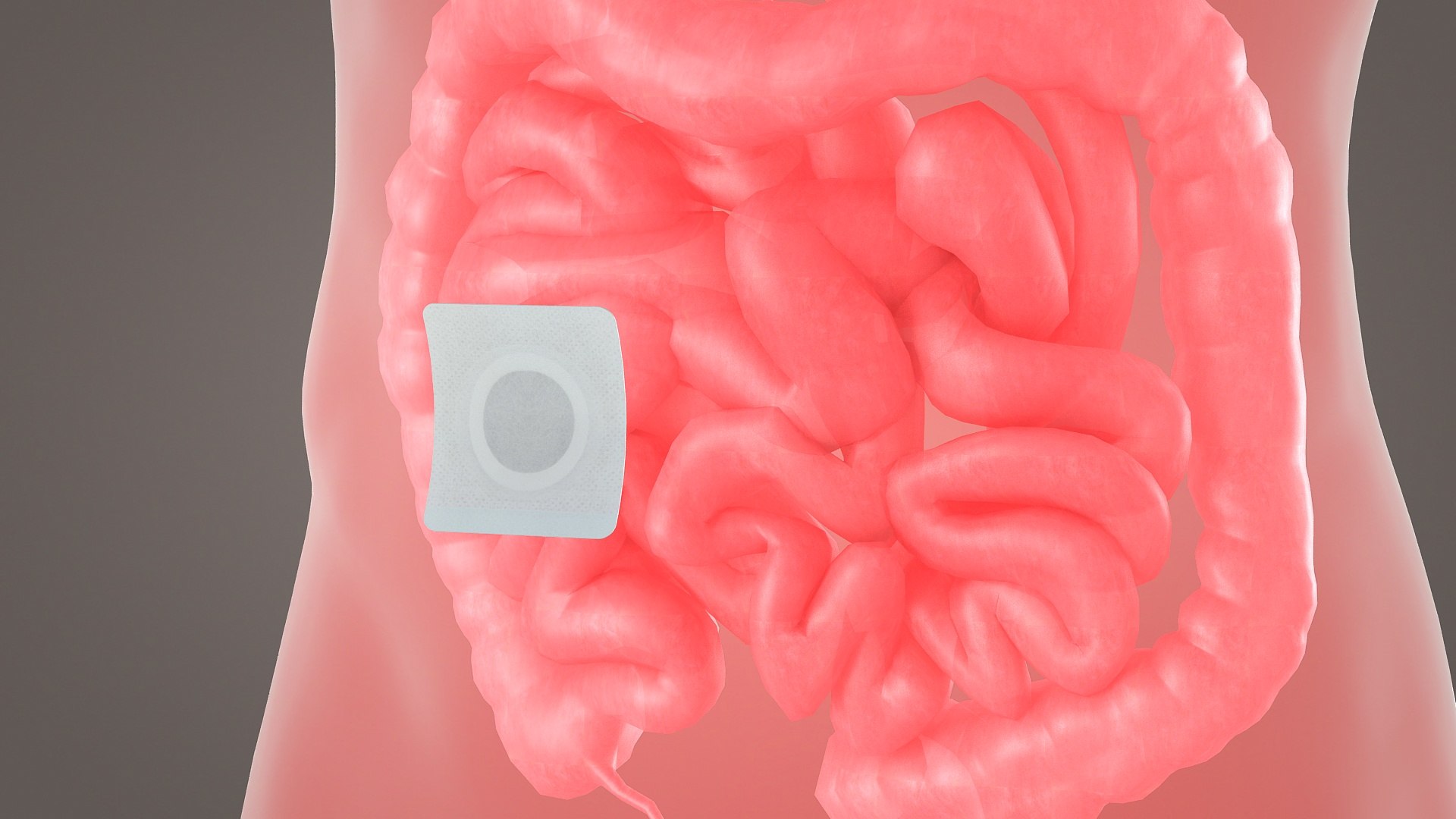 Tomach Patch Magnetic Patch Animation Dissection Medical 3D Model ...