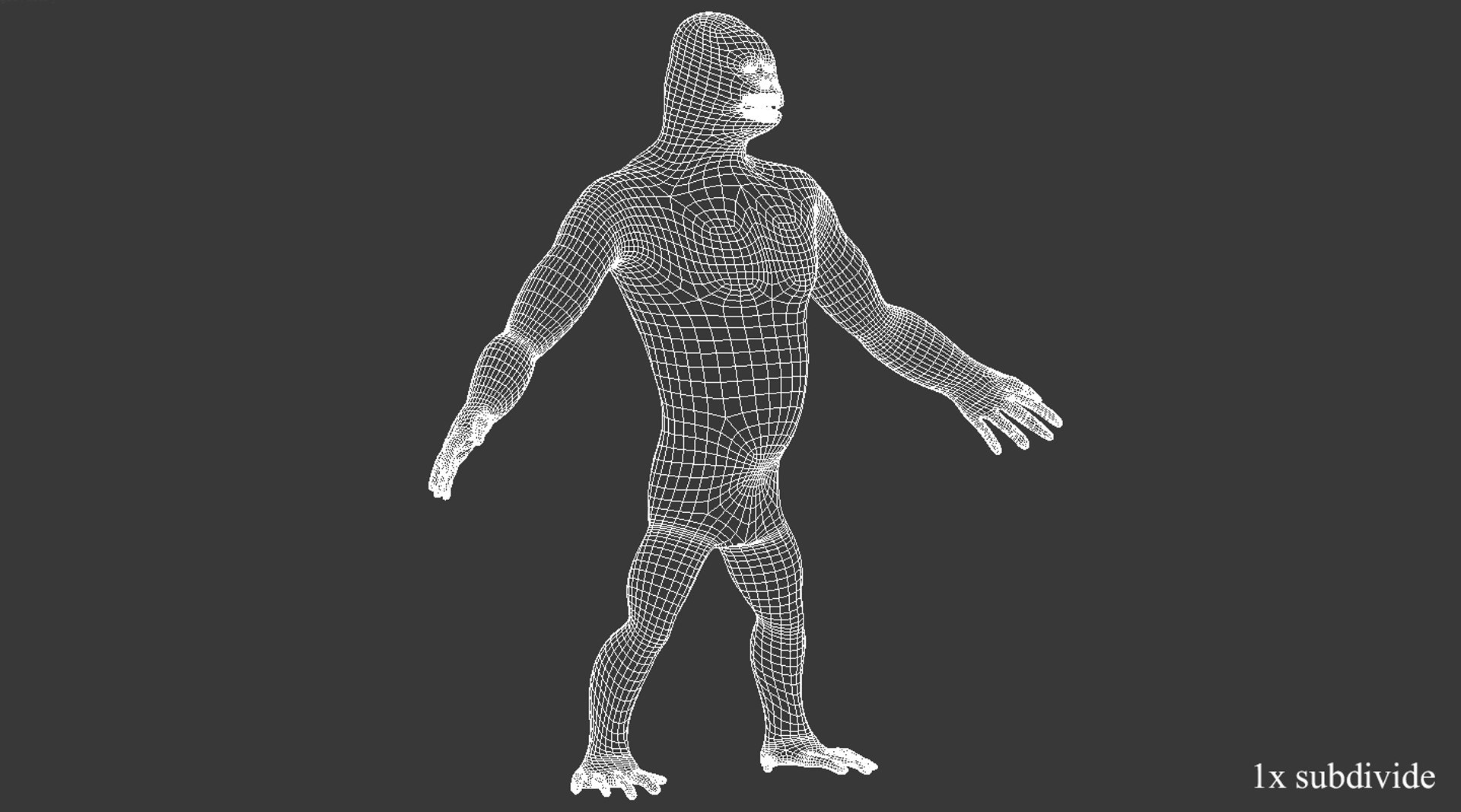 3d Model Gorilla Animation