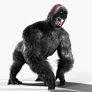Gorilla tag - Gorilla: textured, rigged, colour - Download Free 3D model by  asduf28349 (@asduf28349) [43404d6]