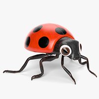 Cartoon Ladybug