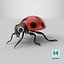 Cartoon Ladybug model