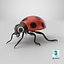 Cartoon Ladybug model