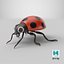 Cartoon Ladybug model