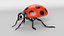 Cartoon Ladybug model
