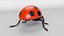 Cartoon Ladybug model