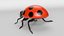 Cartoon Ladybug model