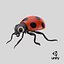 Cartoon Ladybug model