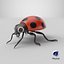 Cartoon Ladybug model
