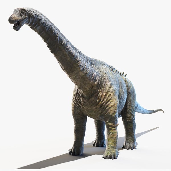 3D apatosaurus