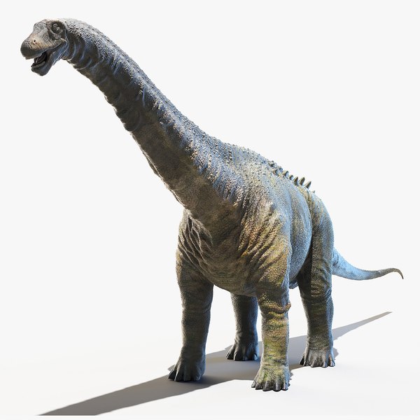 apatosaurus 3d