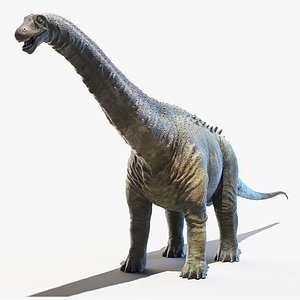 Apatosaurus