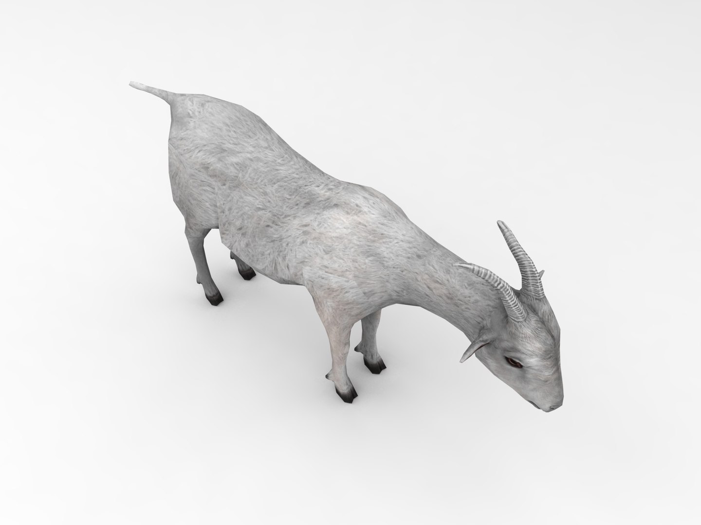 3d goat model https://p.turbosquid.com/ts-thumb/hx/zUHRAw/0XPzZoi0/goat.435/jpg/1450257765/1920x1080/fit_q87/91d6ed3c87a7f89a8f9946a33c6651cbeccda97c/goat.435.jpg