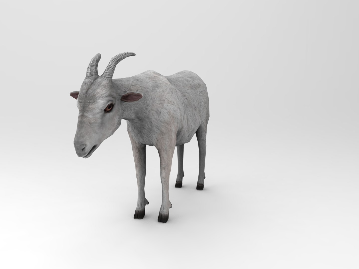 3d goat model https://p.turbosquid.com/ts-thumb/hx/zUHRAw/4YfDBm44/goat.432/jpg/1450257765/1920x1080/fit_q87/501ea24f59e44d9f9e8d1fc37de4c2356f8674d7/goat.432.jpg