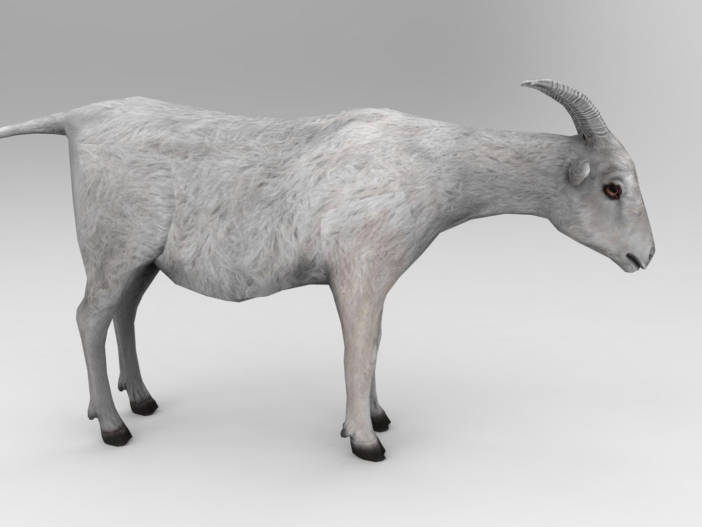 3d goat model https://p.turbosquid.com/ts-thumb/hx/zUHRAw/6U4CMaDq/goat.419/jpg/1450257765/1920x1080/fit_q87/845d2cc3471ba4abfaa5ff5ca6665aa0f248cba5/goat.419.jpg