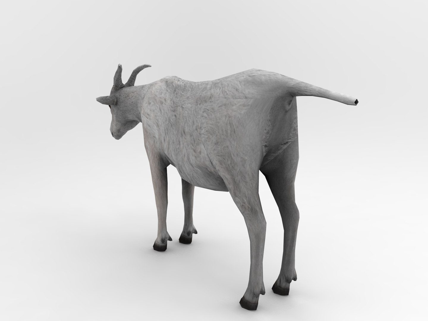 3d goat model https://p.turbosquid.com/ts-thumb/hx/zUHRAw/8i8XdWrP/goat.425/jpg/1450257765/1920x1080/fit_q87/1304f4002e9255a76bd7547f3eaef5019718c95b/goat.425.jpg