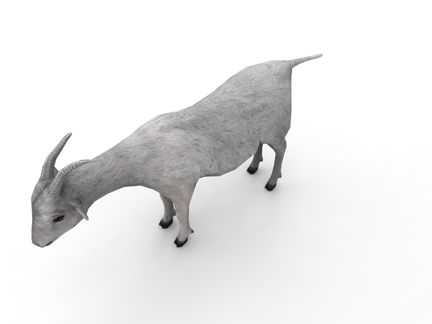 3d goat model https://p.turbosquid.com/ts-thumb/hx/zUHRAw/I2MYeFz0/goat.434/jpg/1450257765/1920x1080/fit_q87/781333355f09db9272693b229b93b6fa6dca2650/goat.434.jpg