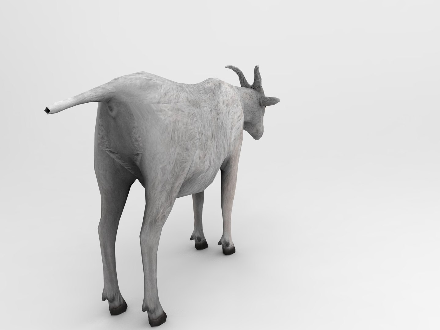 3d goat model https://p.turbosquid.com/ts-thumb/hx/zUHRAw/Ic6Ex64v/goat.422/jpg/1450257765/1920x1080/fit_q87/3b9221a1703bba413994ac83c827dd81a8c420d4/goat.422.jpg