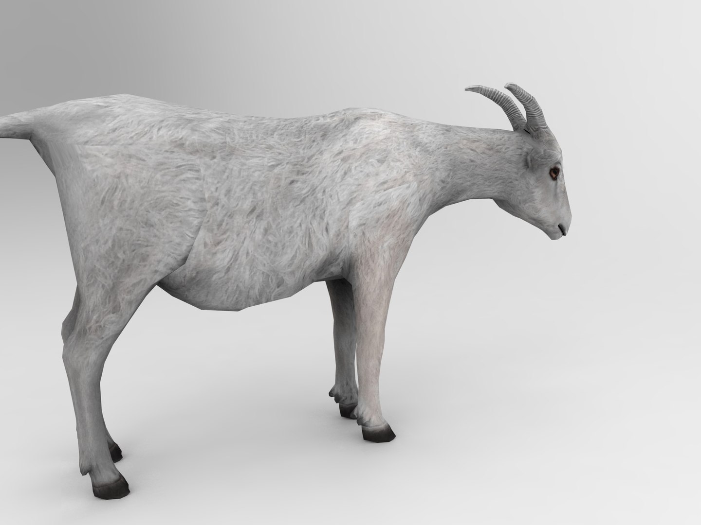 3d goat model https://p.turbosquid.com/ts-thumb/hx/zUHRAw/RBvnimaO/goat.420/jpg/1450257765/1920x1080/fit_q87/20d2b153f3d36a40487c9dcf83f84fd3580e6e91/goat.420.jpg