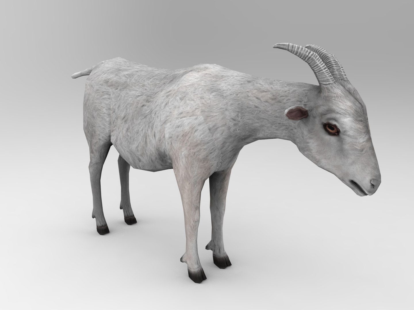 3d goat model https://p.turbosquid.com/ts-thumb/hx/zUHRAw/REJA6MIp/goat.417/jpg/1450257765/1920x1080/fit_q87/de5a57ec2e30b04cca7c52411dfba1cce8ec998f/goat.417.jpg