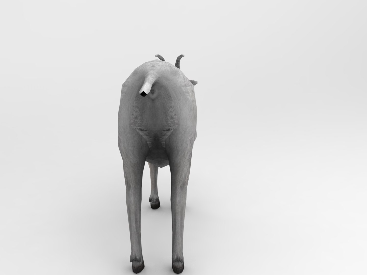 3d goat model https://p.turbosquid.com/ts-thumb/hx/zUHRAw/XcyYiZAl/goat.423/jpg/1450257765/1920x1080/fit_q87/154cad49178f57442012f871b5368f81655b7928/goat.423.jpg