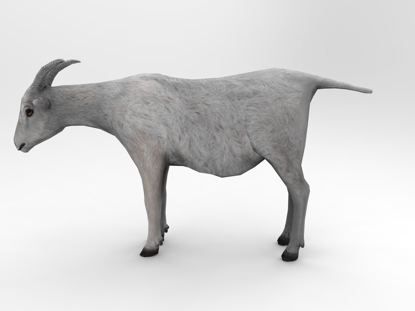 3d goat model https://p.turbosquid.com/ts-thumb/hx/zUHRAw/ZyGen18L/goat.428/jpg/1450257765/1920x1080/fit_q87/179ac2f6b4eb73293a818a428e2e32c7d1ea94ed/goat.428.jpg