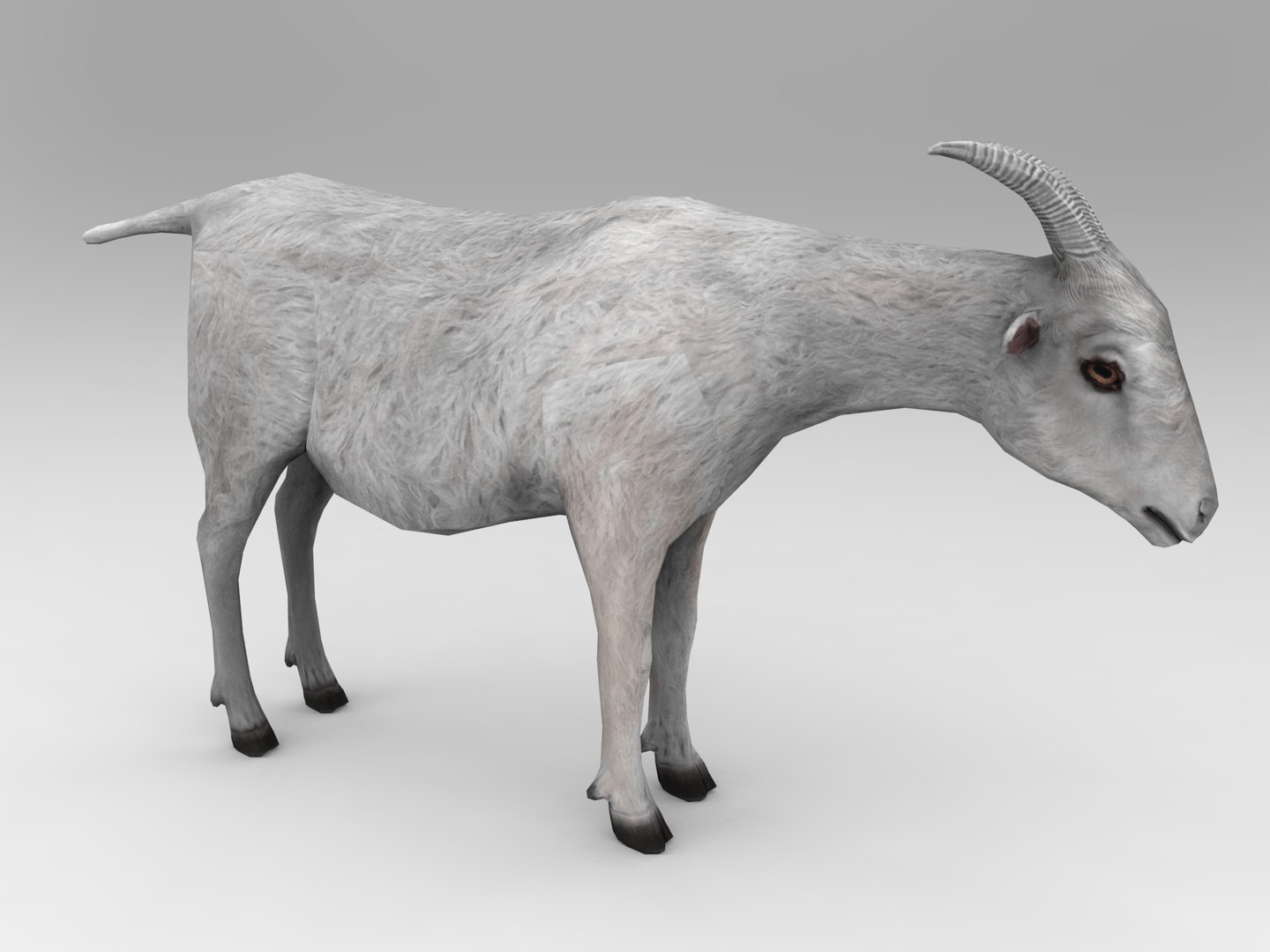 3d goat model https://p.turbosquid.com/ts-thumb/hx/zUHRAw/m3J8zgPi/goat.418/jpg/1450257765/1920x1080/fit_q87/aad0b92b9b712d60f1bab352d410518b1f2dcfbe/goat.418.jpg