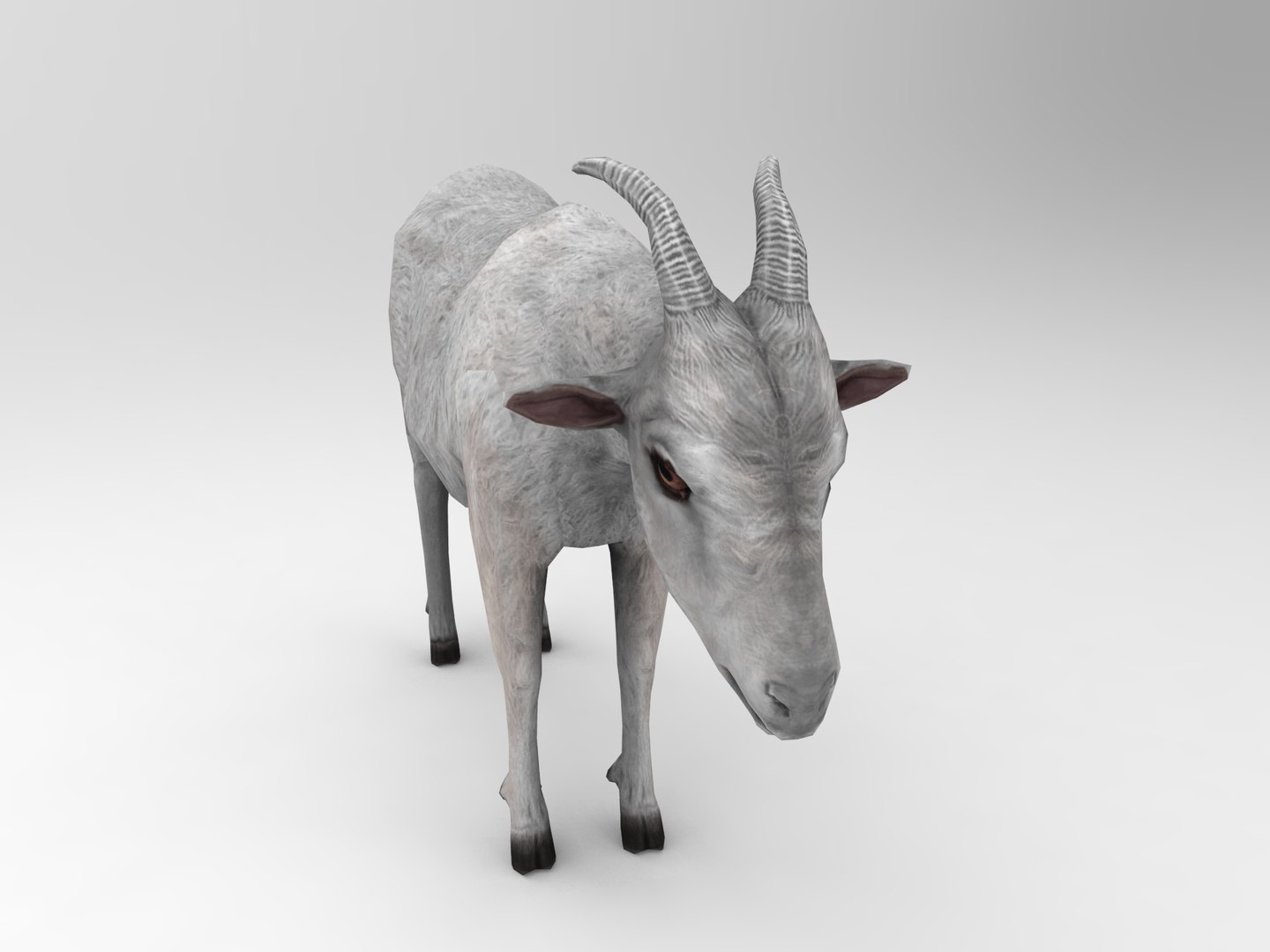 3d goat model https://p.turbosquid.com/ts-thumb/hx/zUHRAw/p4aXBGUJ/goat.416/jpg/1450257765/1920x1080/fit_q87/a33d0f096460d2fd7e92d368b14db5e9fcbbb699/goat.416.jpg